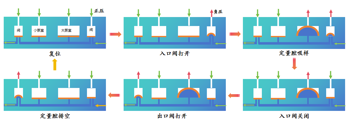 微流控分液芯片剖析