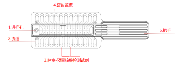 检测芯片结构示意图